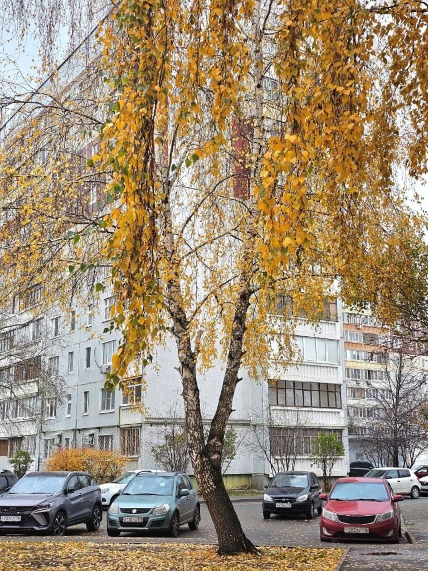 Купить квартиру за 6 950 000 рублей на Победы пр-кт, 132