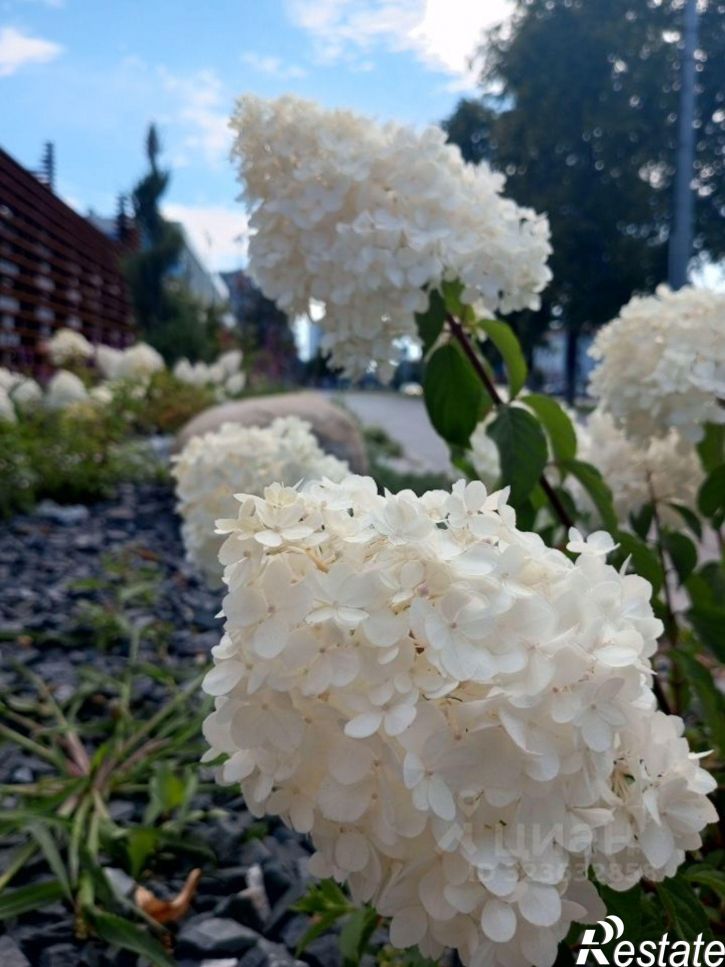 3-комн квартира улица Новаторов, 6,  д. 6