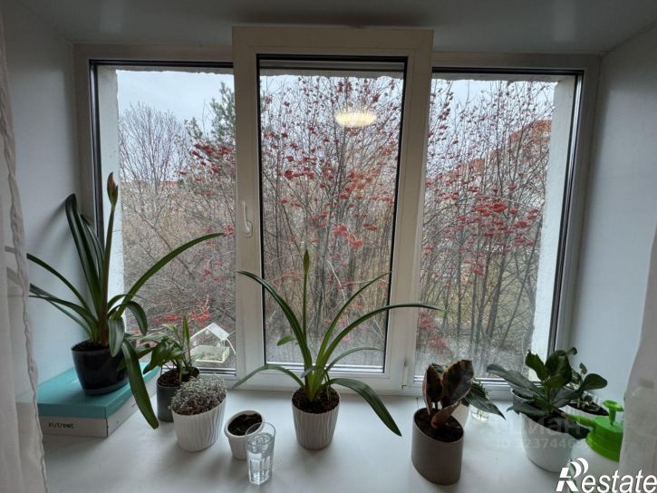 1-комн квартира улица Академика Парина, 10,  д. 10