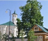 земля 8.2 сот ул. Каюма Насыри, дом 31