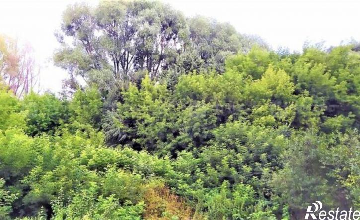 1-комн квартира ул 3-я Кленовая, 23А,  д. 23А