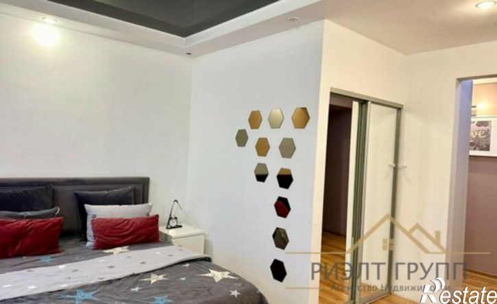 1-комн квартира ул Николаева, 5,  д. 5