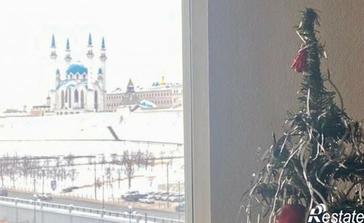 1-комн квартира ул Лево-Булачная, 16,  д. 16