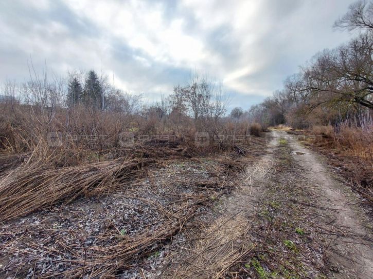 Земельный участок ул. Заречная (Кадышево)