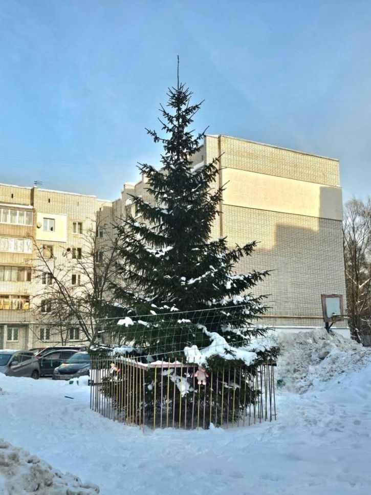 1-комн квартира Залесная ул, 2А