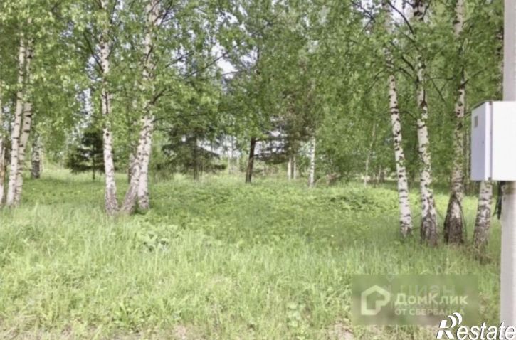 Земельный участок ул Центральная (Салмачи), 93,  д. 93
