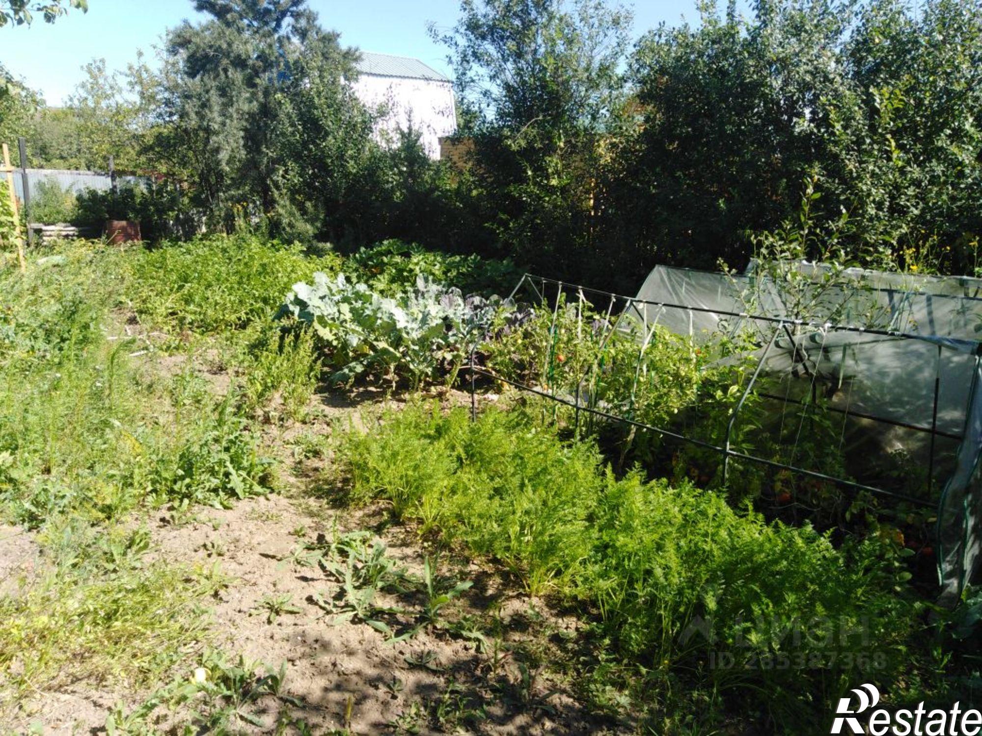 Купить землю, земельный участок за 650 000 рублей на СНТ Смородинка