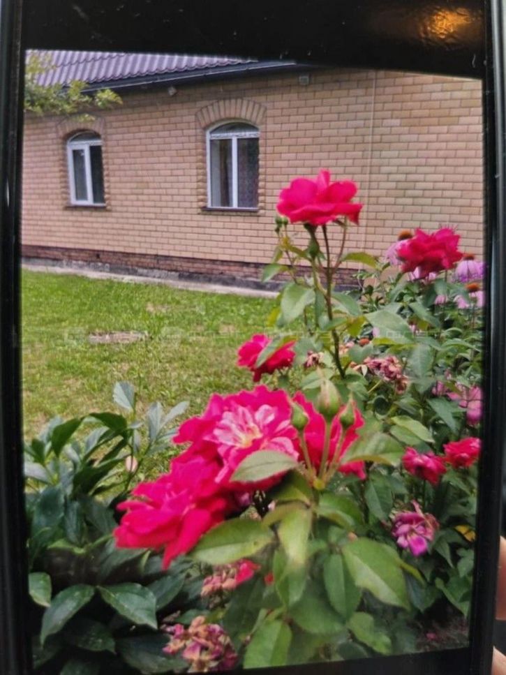 Коттедж/дом снт. СНТ Любитель природы-2, дом 55