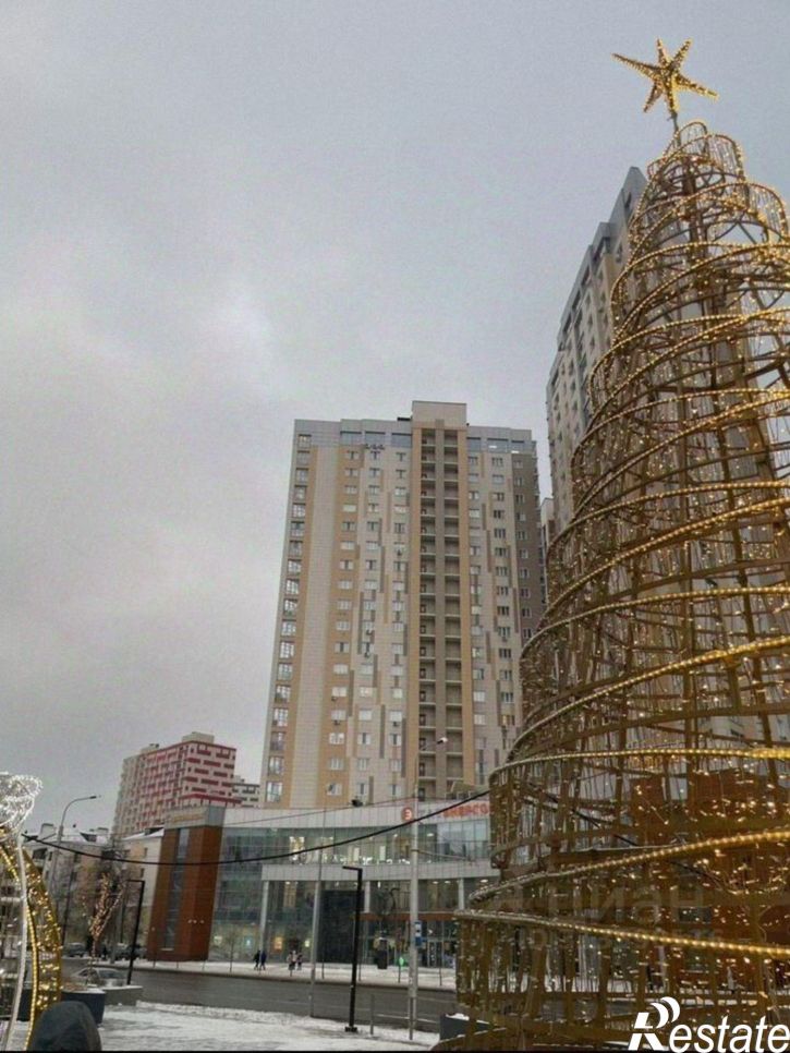 2-комн квартира ул Павлюхина, 110В,  д. 110В