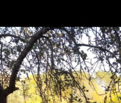 земля 18 сот ул Бутырская, 25