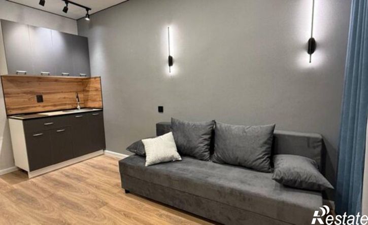 1-комн квартира ул Белинского, 39,  д. 39