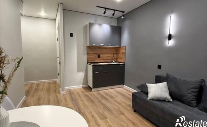 1-комн квартира ул Белинского, 39,  д. 39