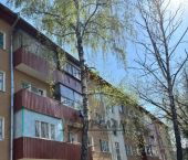 комната 17 кв м Главная улица, 69А