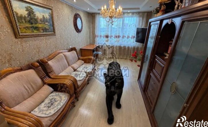 3-комн квартира улица Фатыха Амирхана, 33,  д. 33