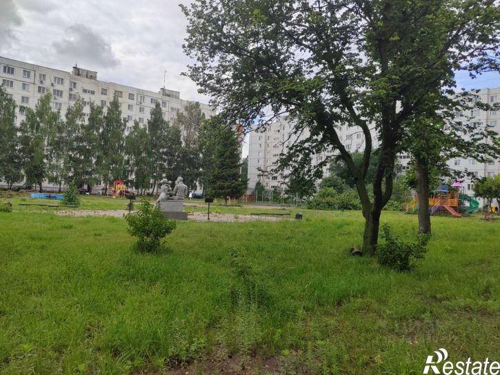 1-комн квартира ул Академика Лаврентьева, 10,  д. 10