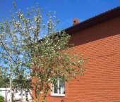 коттедж 227 кв м ул Центральная (Салмачи), 93А