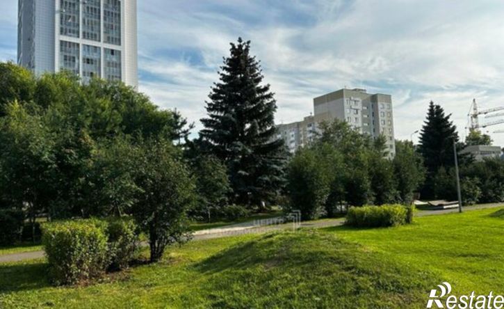 3-комн квартира ул Лейтенанта Красикова, 1,  д. 1