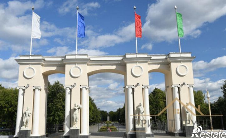 1-комн квартира ул Белинского, 39,  д. 39