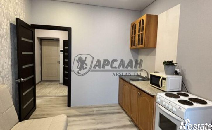 1-комн квартира ул Николая Ершова, 66В,  д. 66В