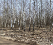 земля 4 сот ул. Газовая (Салмачи), дом 62