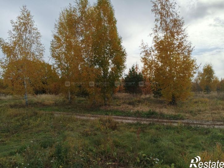 Земельный участок ул. Береговая (Отары), дом 38