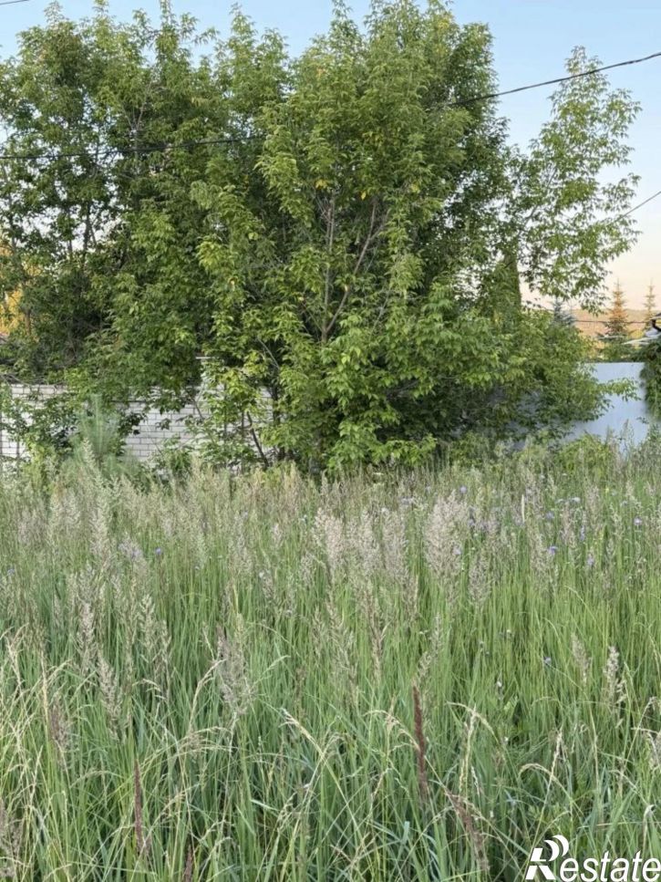 Земельный участок ул. Беркутова (Константиновка), дом 62