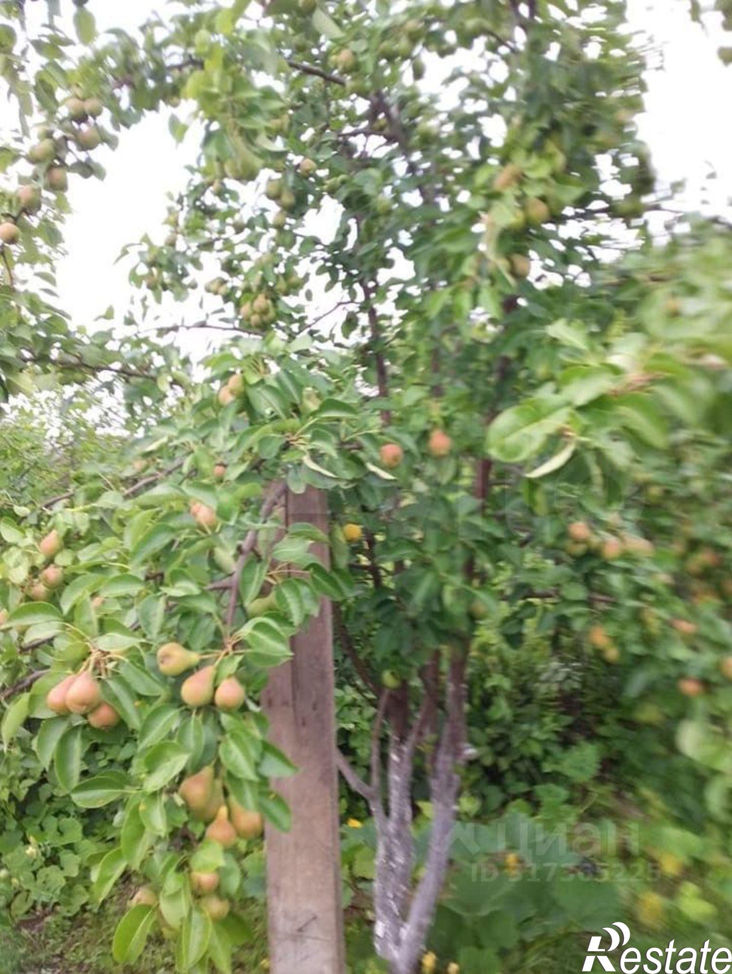 Купить дачу, дом, коттедж за 3 600 000 рублей