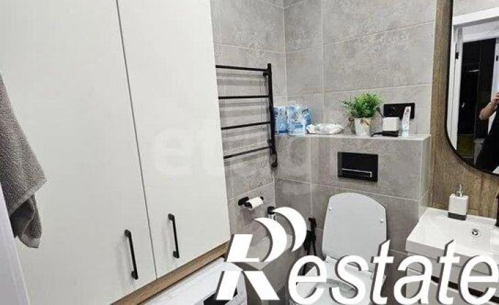 1-комн квартира улица Азата Аббасова, 19,  д. 19