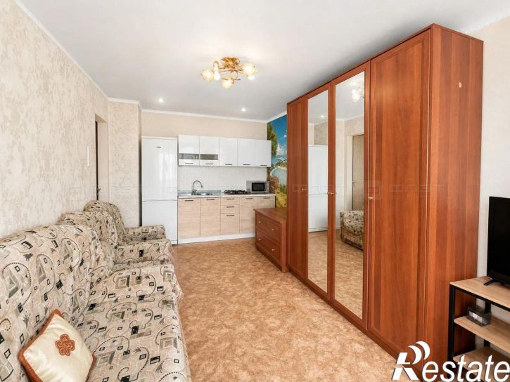 1-комн квартира ул. Солидарности (Дербышки), дом 21