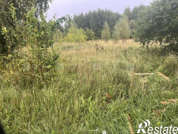 Земельный участок ул. Степная (Борисоглебское), дом 11