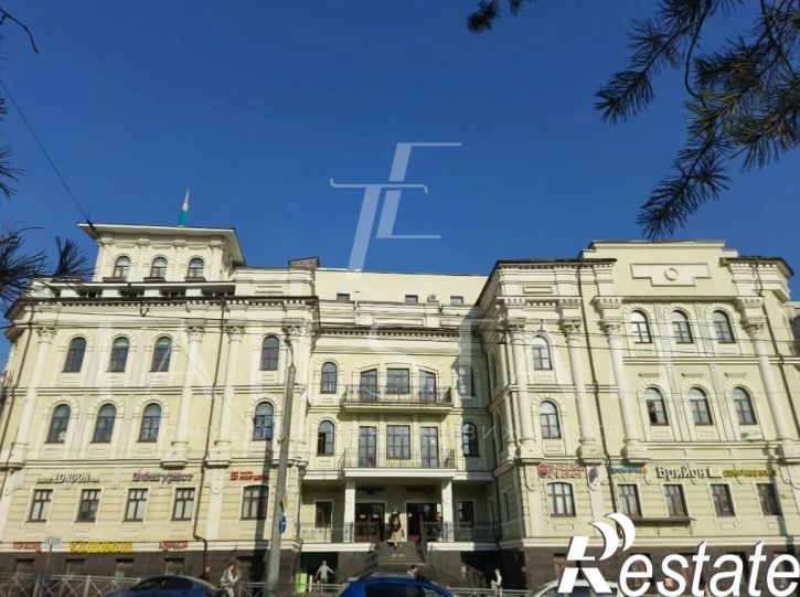 Офис улица Пушкина, 52
