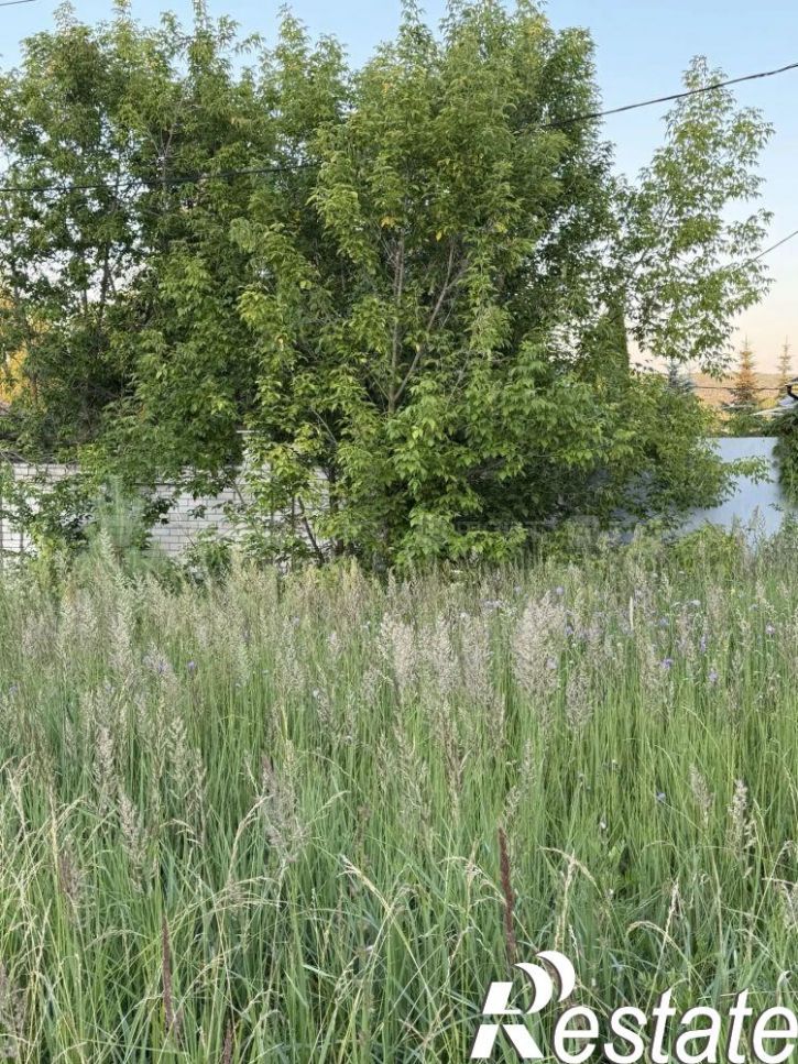 Земельный участок ул. Беркутова (Константиновка), дом 62
